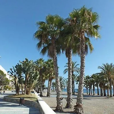 Sunshine Apartment At Tropical Coast Of Granada Almunecar Spain